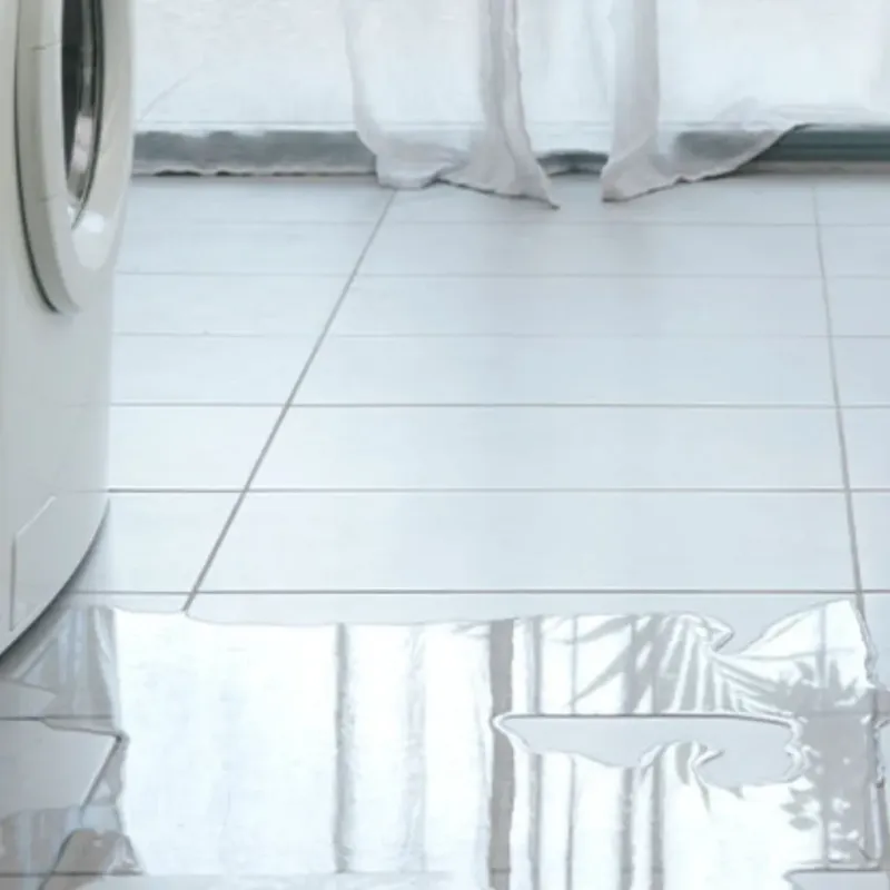 Appliance Leak Cleanup in Tenaha, TX