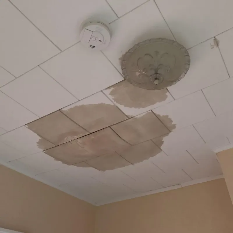 Ceiling Water Damage Repair in Tenaha, TX