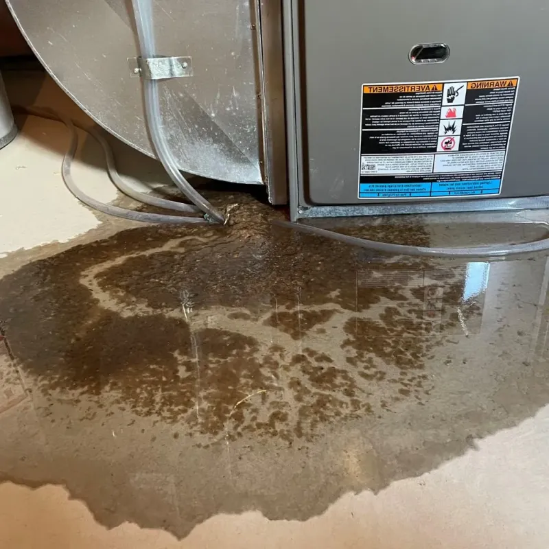 Pipe Burst and Leak Restoration in Tenaha, TX
